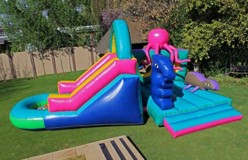 Rinas Jumping Castles Bloemfontein Jumping Castles Rinas Jumping